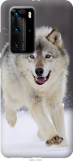 

Чохол Вовк що біжить на Huawei P40 Pro 958107