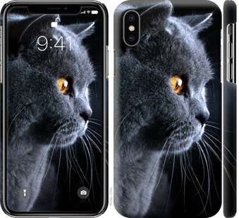 

Чохол Гарний кіт на iPhone X 626629