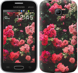 

Чохол Кущ з трояндами на Samsung Galaxy Star Plus S7262 639159