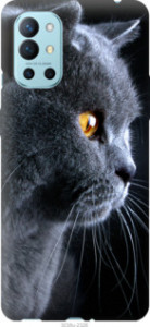 Чехол Красивый кот для OnePlus 9R