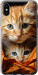 Чехол Котики 2 для iPhone XS