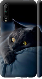 Чехол Дымчатый кот для Huawei P Smart Pro