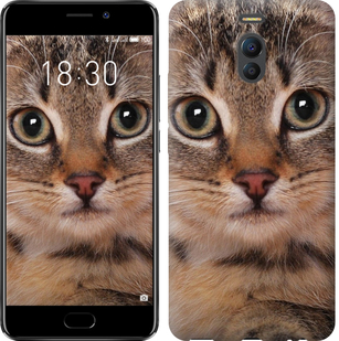 

Чехол Полосатый котик для Meizu M6 Note 655425
