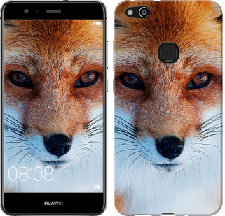 

Чехол Рыжая лисица для Huawei P10 Lite 604626