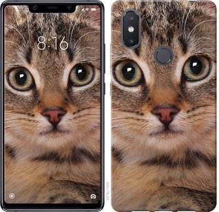 

Чохол Смугастий котик на Xiaomi Mi8 SE 675824