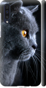 Чехол Красивый кот для Samsung Galaxy A50 (A505F)
