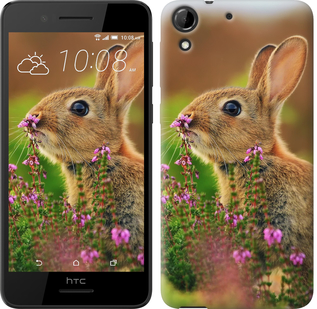 

Чехол Кролик и цветы для HTC Desire 728G 149930