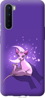 

Чехол Кот2 для OnePlus Nord 1591585