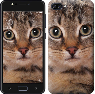 

Чехол Полосатый котик для Asus ZenFone 4 Max ZC520KL 655464