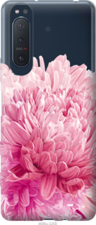 

Чохол Хризантема на Sony Xperia 5 II 1184878