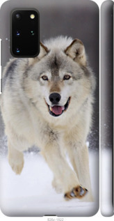 

Чехол Бегущий волк для Samsung Galaxy S20 Plus 957982
