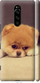 

Чохол Boo 2 на Sony Xperia 1 J9110 948683