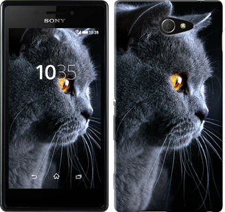 

Чохол Гарний кіт на Sony Xperia M2 D2305 117052