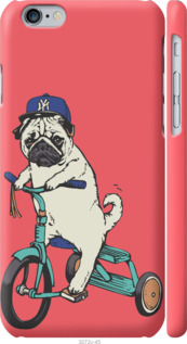 Чехол Мопс на велосипеде для iPhone 6