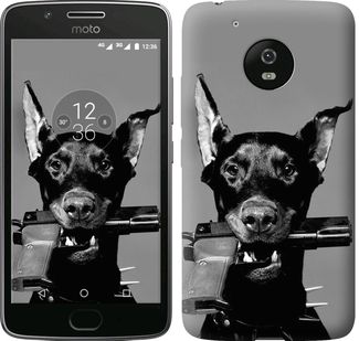 

Чехол Доберман для Motorola Moto G5 605014