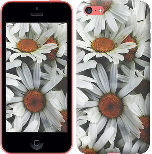 

Чохол Ромашки v2 на iPhone 5c 127064