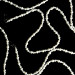 Фото Шнурок Beads Pearl MIX 120см (White) в магазине vchehle.ua