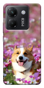 Чохол Коргі в квітах для Xiaomi Poco M7 Pro 5G