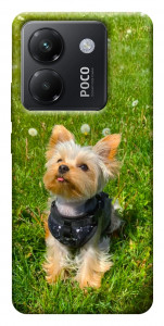 Чохол Йорк в траве для Xiaomi Poco M7 Pro 5G