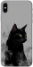 Чехол Smoke cat для iPhone XS Max
