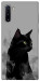 Чохол Smoke cat для Galaxy Note 10 (2019)