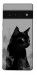 Чехол Smoke cat для Google Pixel 6 Pro