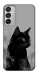 Чохол Smoke cat для Galaxy M15 5G