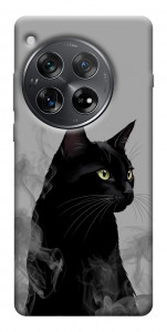 Чехол Smoke cat для OnePlus 12