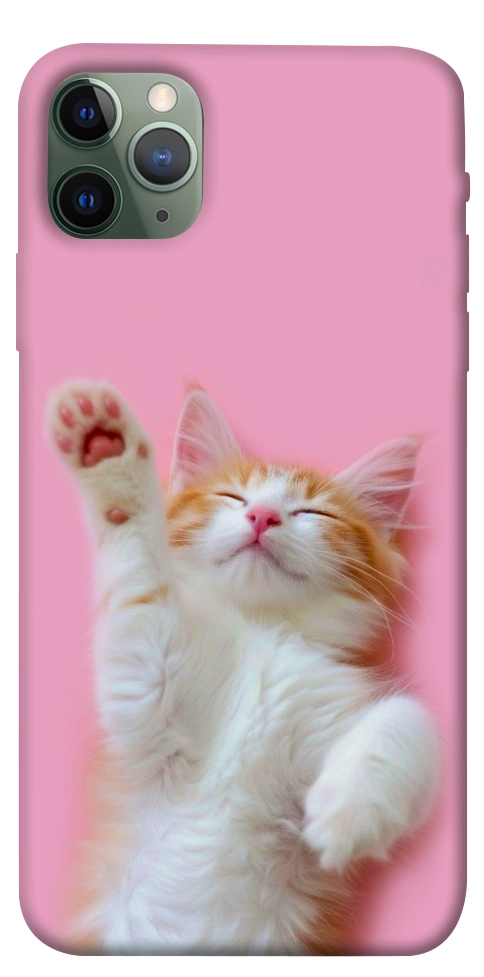Чехол Сat chill для iPhone 11 Pro Max