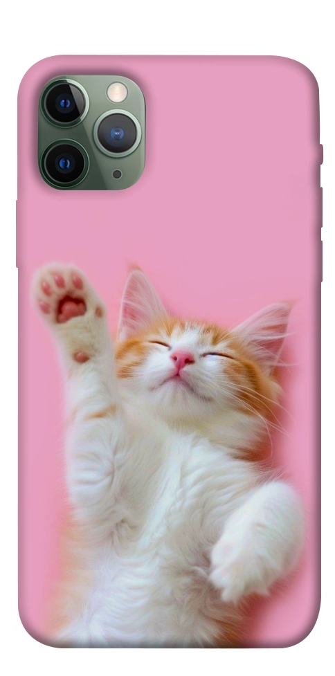 Чохол Сat chill для iPhone 11 Pro