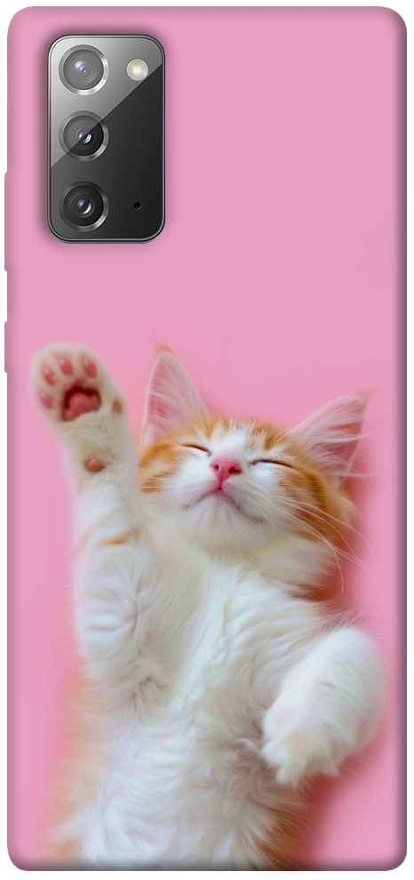 Чохол Сat chill для Galaxy Note 20