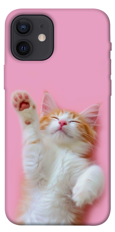 Чохол Сat chill для iPhone 12