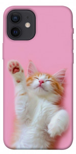 Чохол Сat chill для iPhone 12