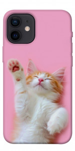 Чехол Сat chill для iPhone 12 mini