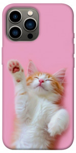 Чехол Сat chill для iPhone 12 Pro Max