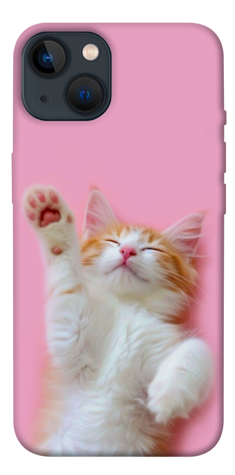 Чехол Сat chill для iPhone 13