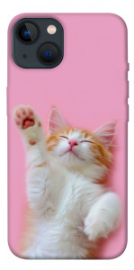 Чехол Сat chill для iPhone 13