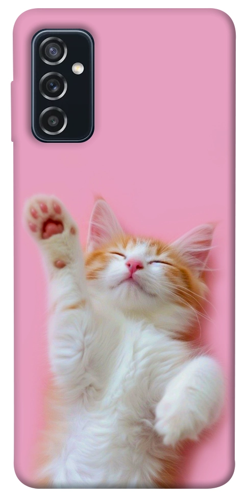 Чехол Сat chill для Galaxy M52