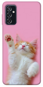 Чехол Сat chill для Galaxy M52