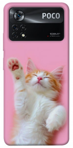 Чехол Сat chill для Xiaomi Poco X4 Pro
