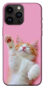 Чехол Сat chill для iPhone 14 Pro Max