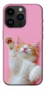 Чохол Сat chill для iPhone 14 Pro