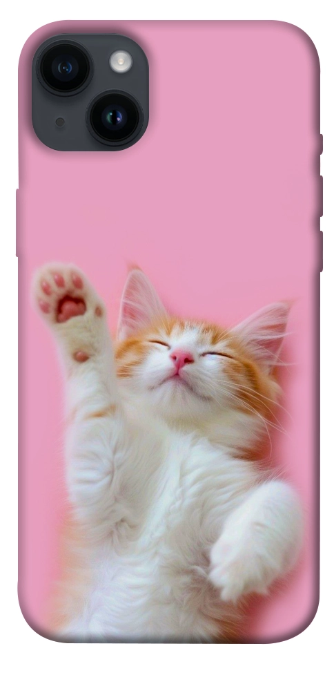 Чехол Сat chill для iPhone 14 Plus