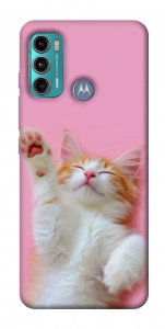 Чехол Сat chill для Motorola Moto G60