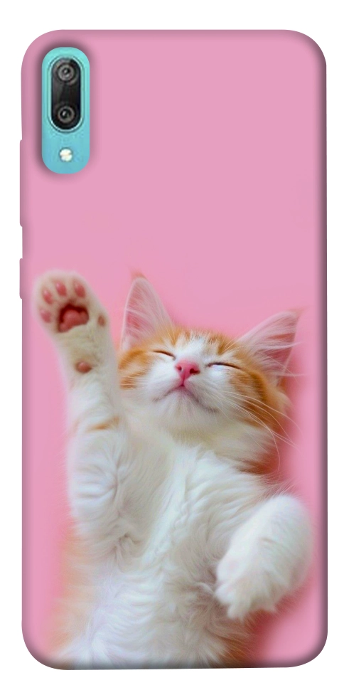 Чехол Сat chill для Huawei Y6 Pro (2019)