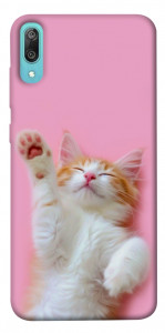 Чохол Сat chill для Huawei Y6 Pro (2019)
