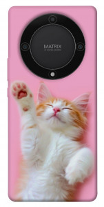 Чехол Сat chill для Huawei Magic5 Lite
