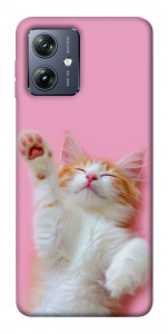 Чохол Сat chill для Motorola Moto G54
