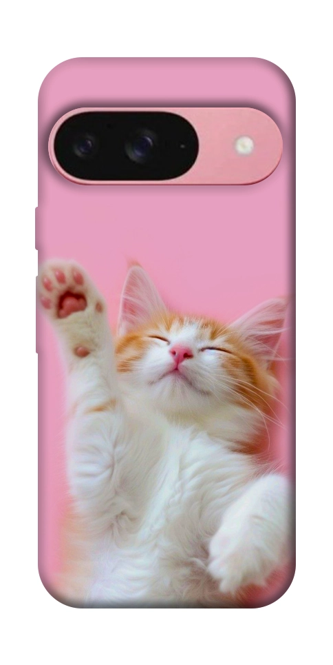 Чехол Сat chill для Google Pixel 9