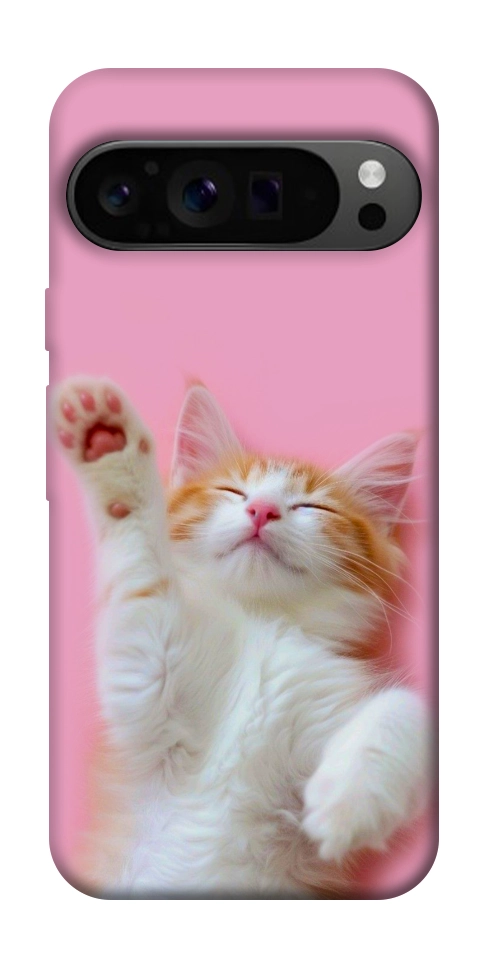 Чехол Сat chill для Google Pixel 9 Pro